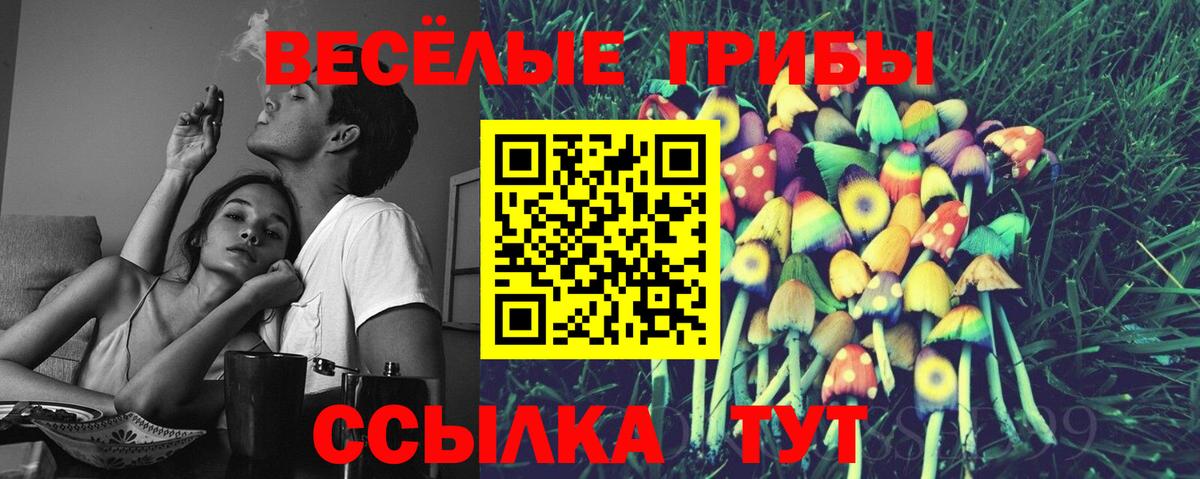Галлюциногенные грибы Psilocybine cubensis Джанкой